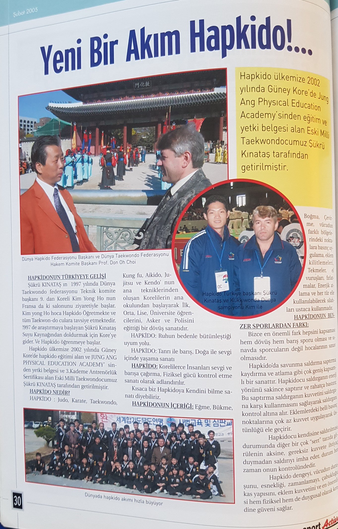 Hapkido Uluslararası Organizasyon